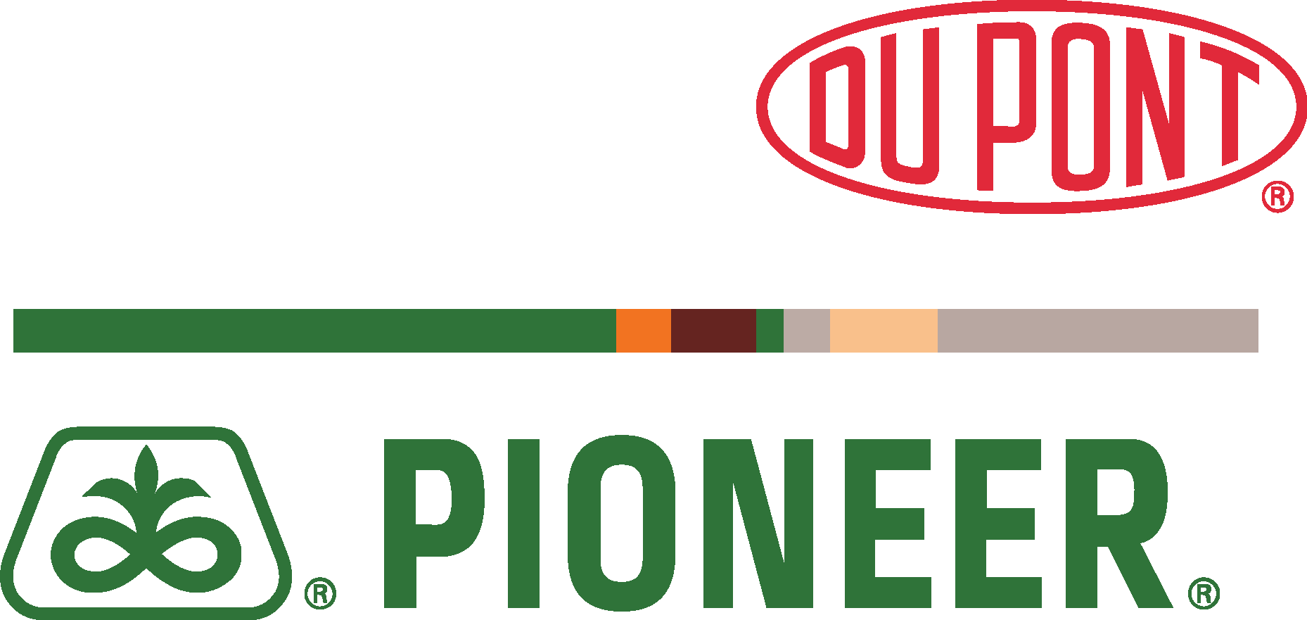 Dupont Pioneer New Logo Vector Logo